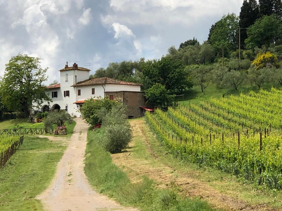 Azienda Agricola Il Poggiolino Villa Pelago Exterior foto