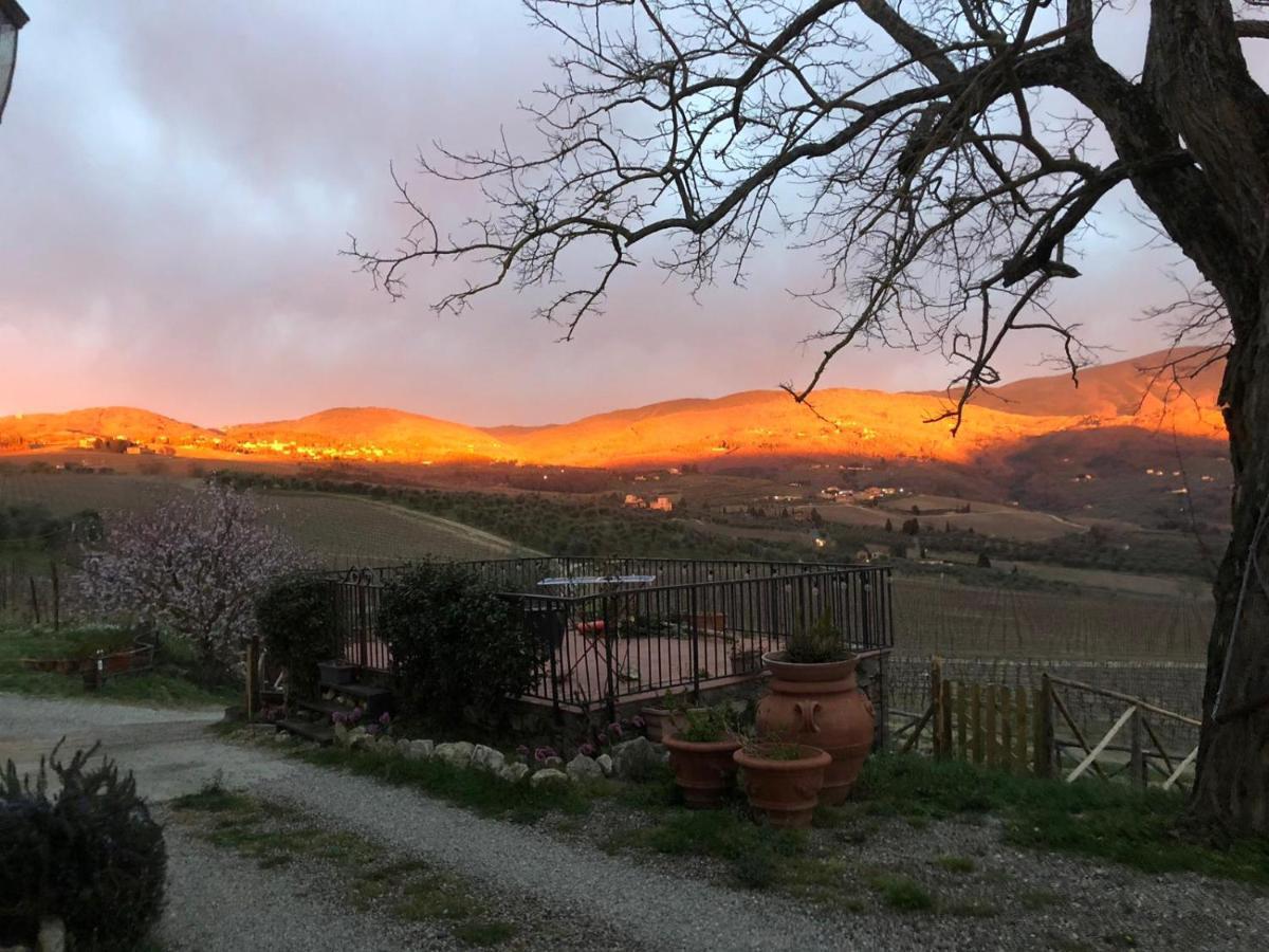 Azienda Agricola Il Poggiolino Villa Pelago Exterior foto