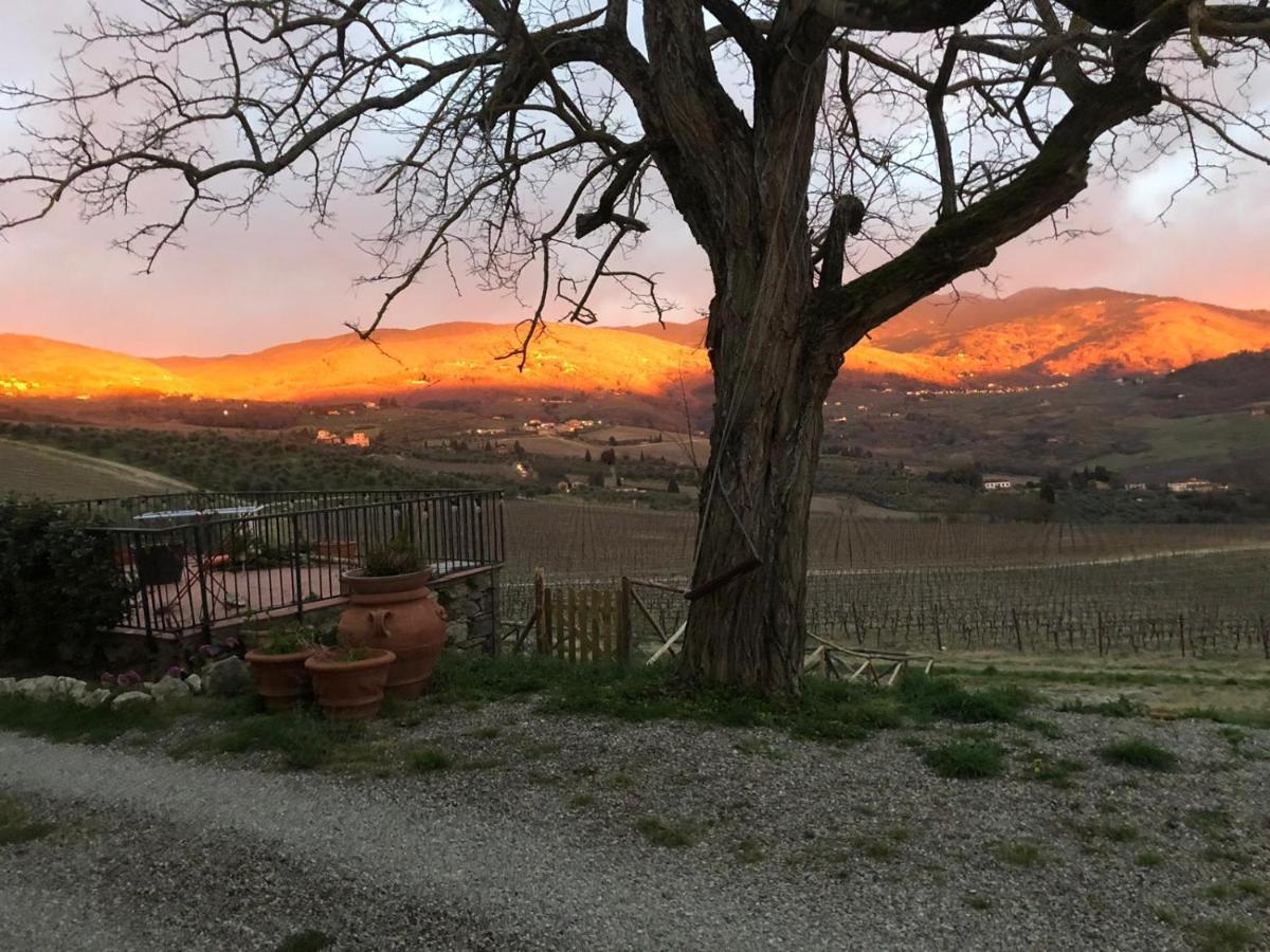 Azienda Agricola Il Poggiolino Villa Pelago Exterior foto