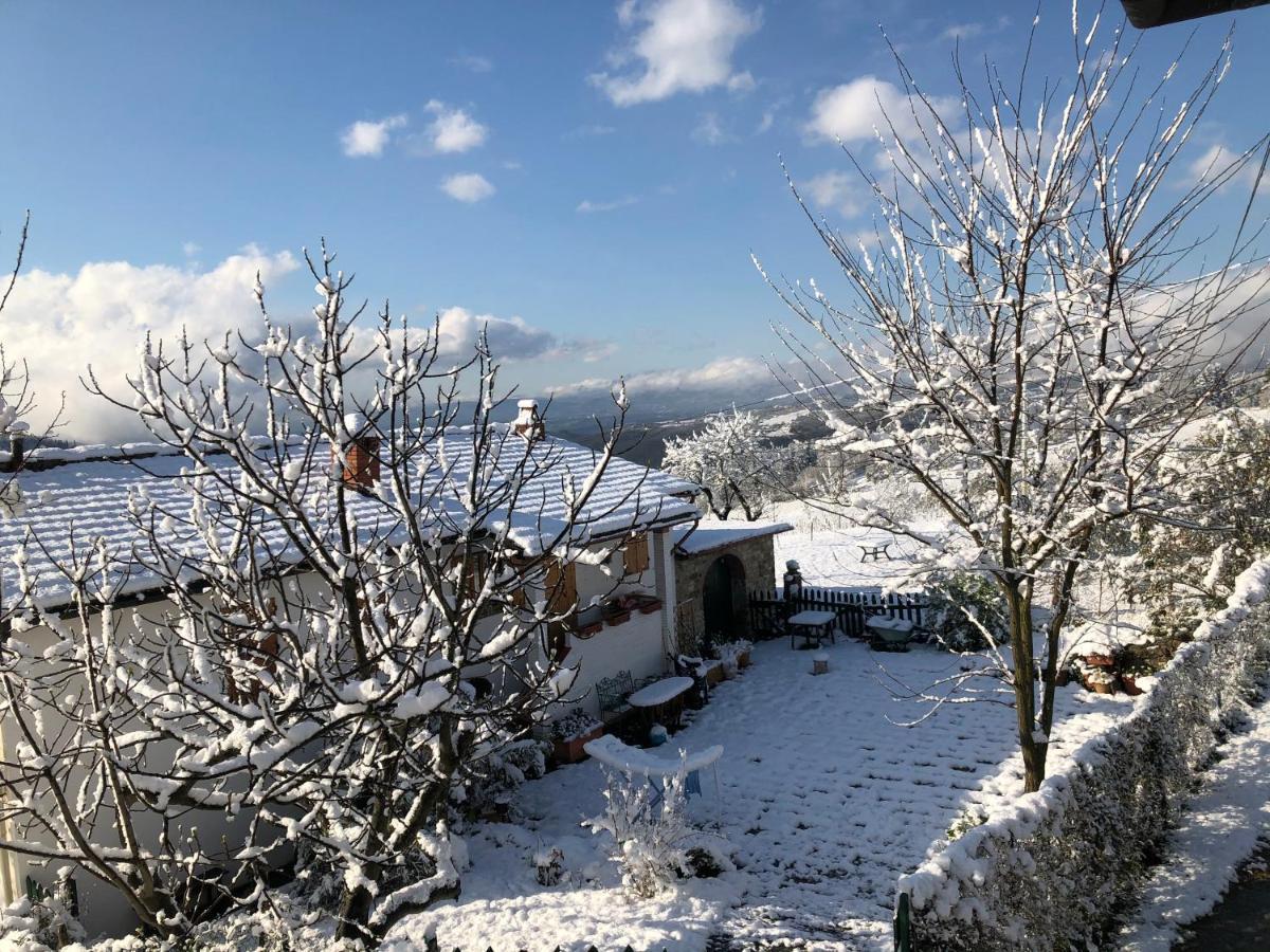 Azienda Agricola Il Poggiolino Villa Pelago Exterior foto