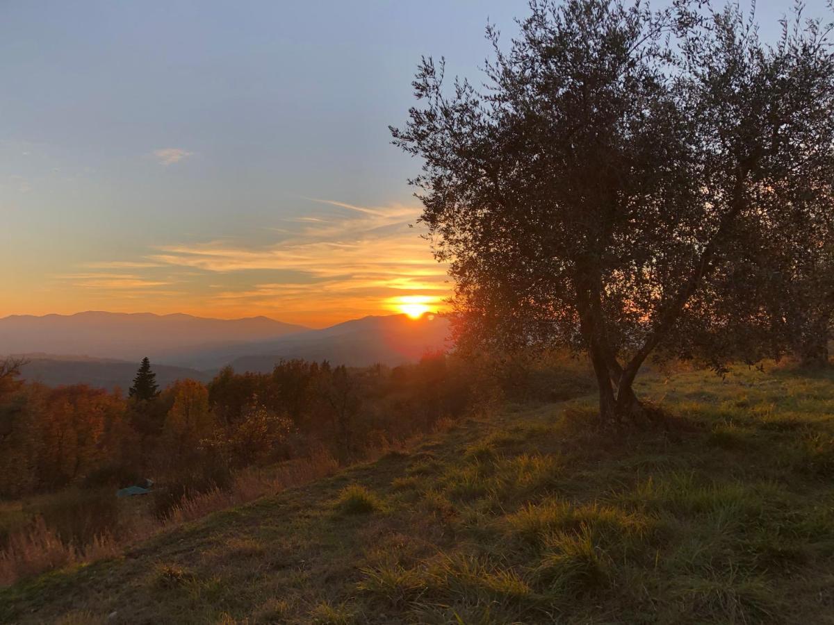 Azienda Agricola Il Poggiolino Villa Pelago Exterior foto