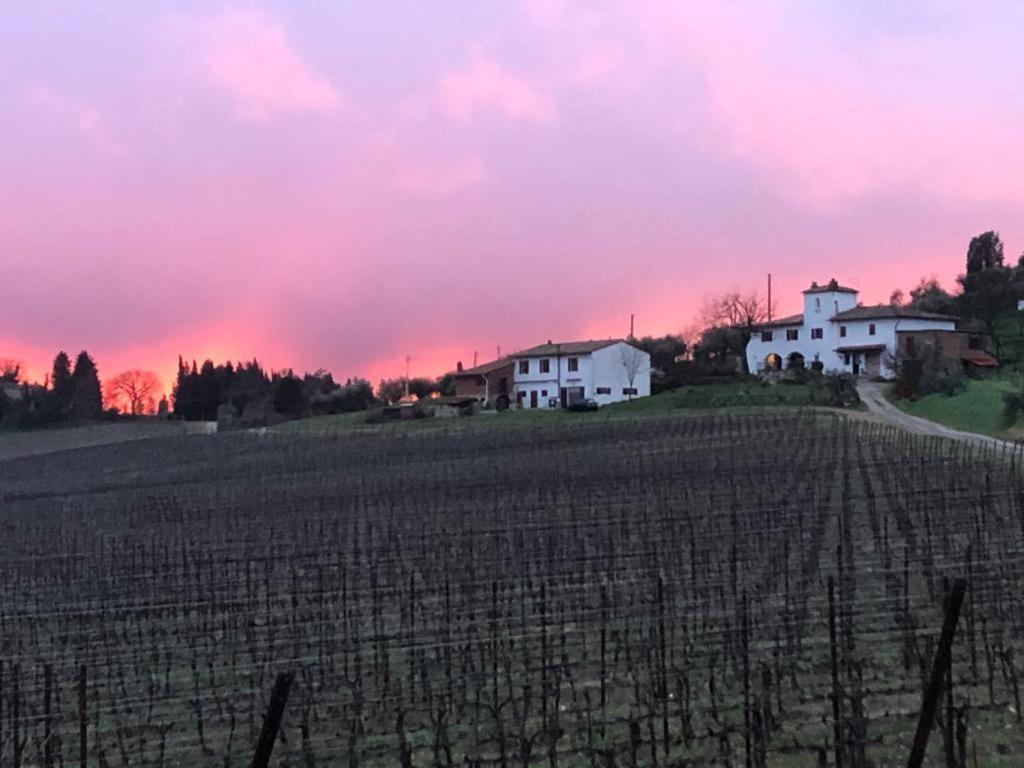 Azienda Agricola Il Poggiolino Villa Pelago Exterior foto