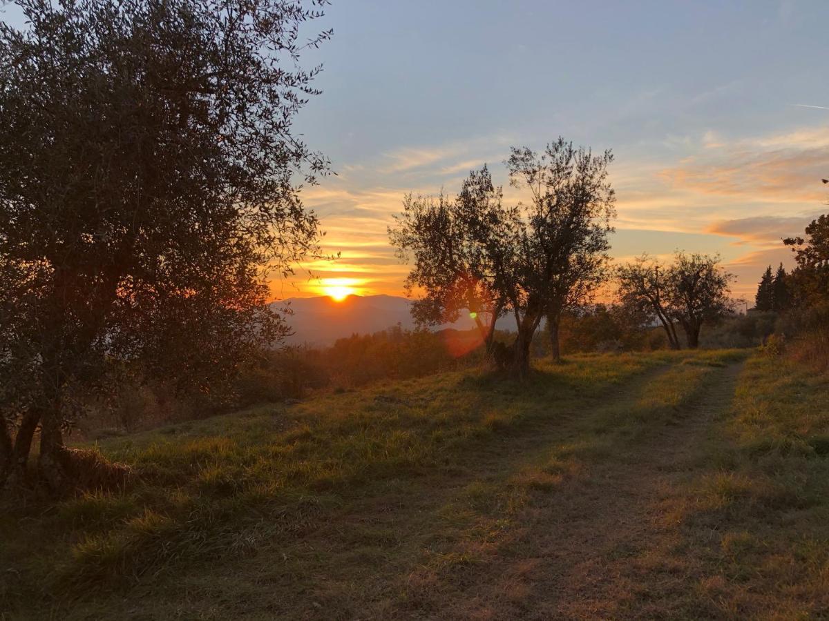 Azienda Agricola Il Poggiolino Villa Pelago Exterior foto